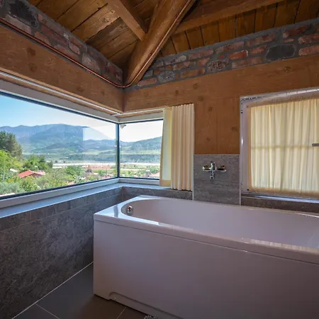 Hani I Taulant Shahinit