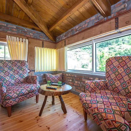 Hani I Taulant Shahinit