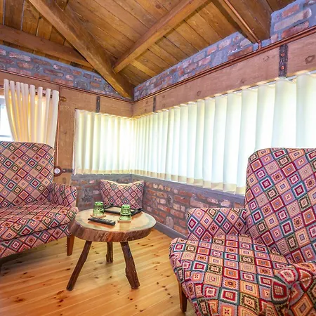 Hani I Taulant Shahinit