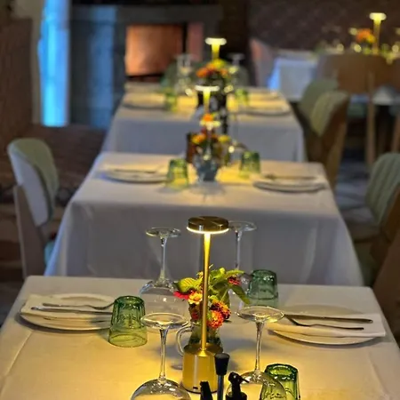 Hani I Taulant Shahinit