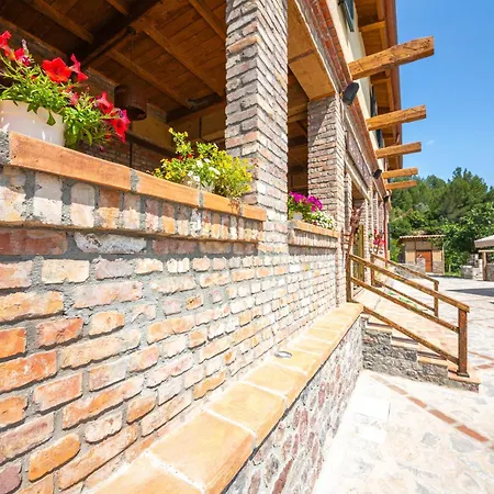 Hani I Taulant Shahinit