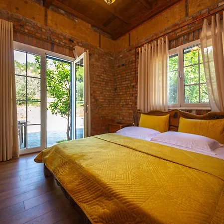 Hani I Taulant Shahinit