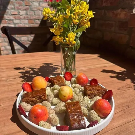 Hani I Taulant Shahinit Panzió Gramsh