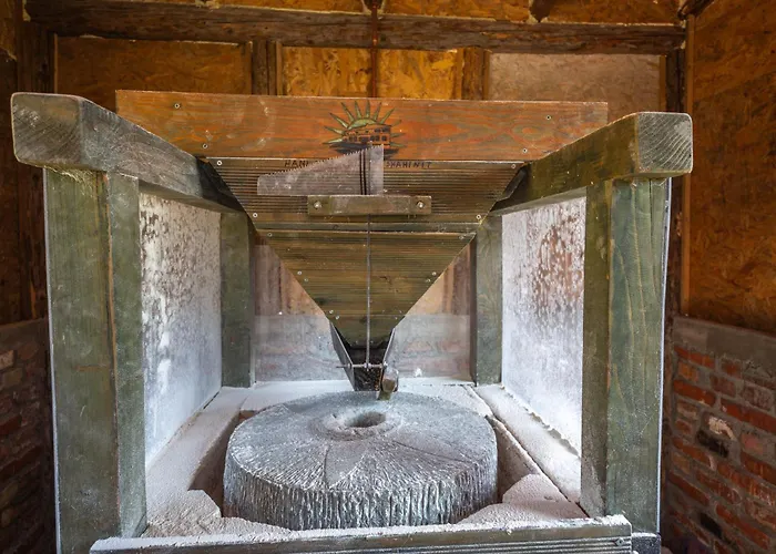 לינה וארוחת בוקר Hani I Taulant Shahinit