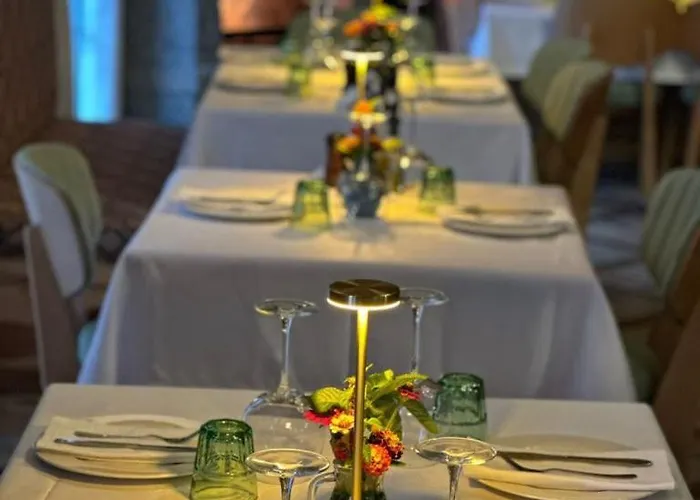 Hani I Taulant Shahinit